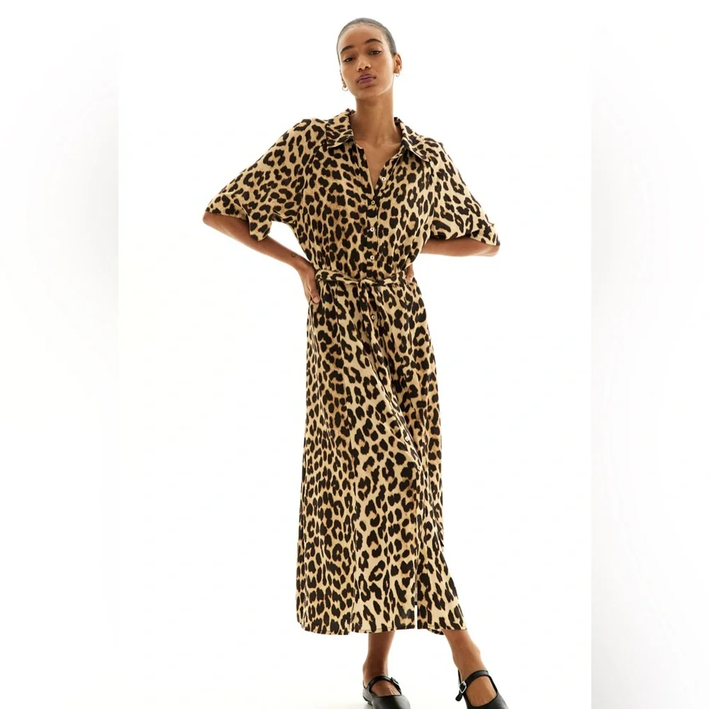 H&M medium leopard 🐆 midi button down collar dress - Picture 1 of 12